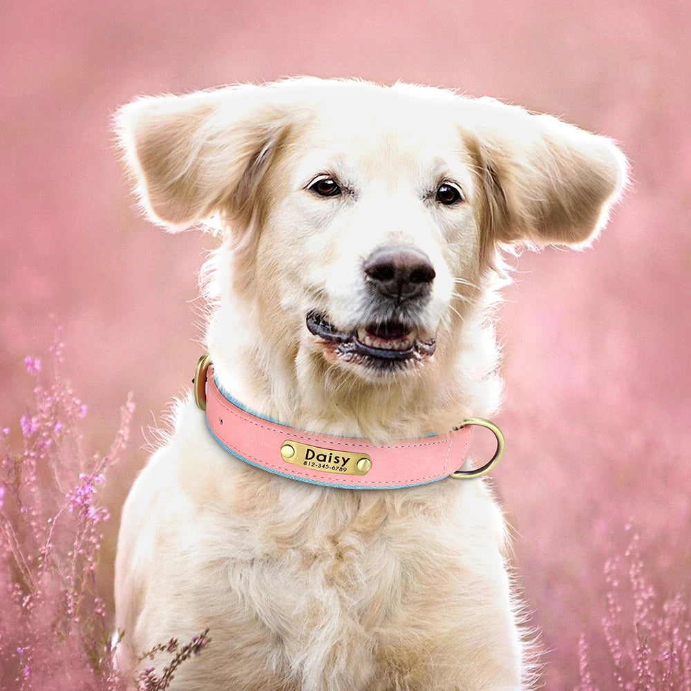 Personalized Dog Collar