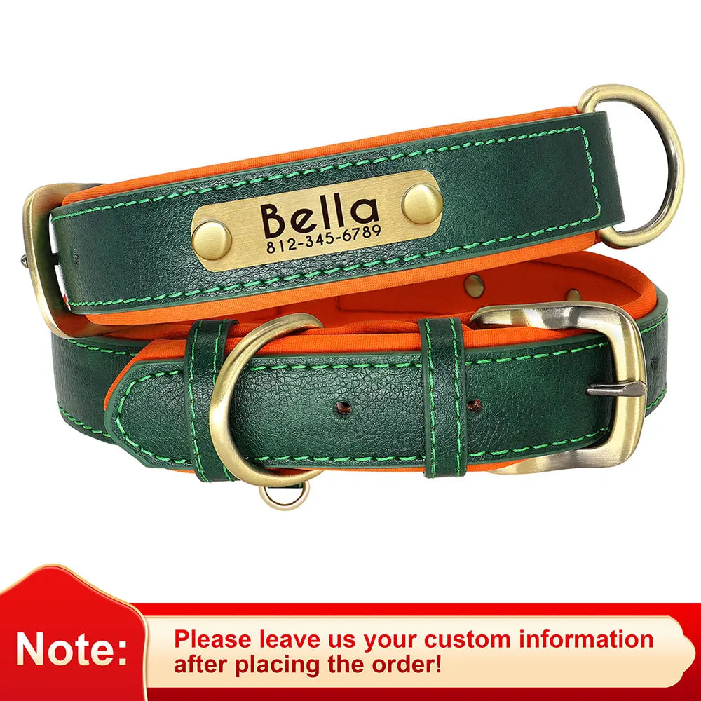 Personalized Dog Collar