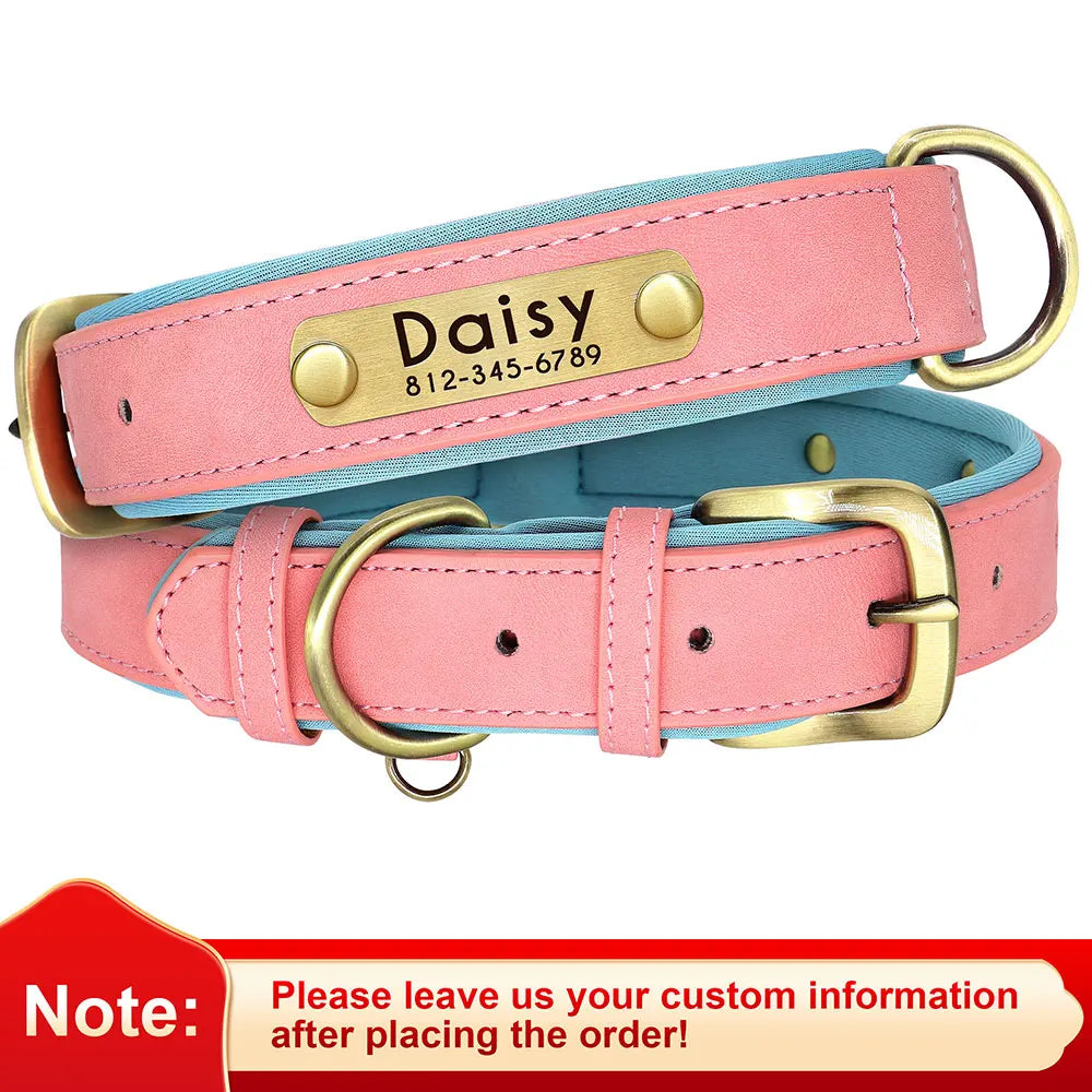 Personalized Dog Collar