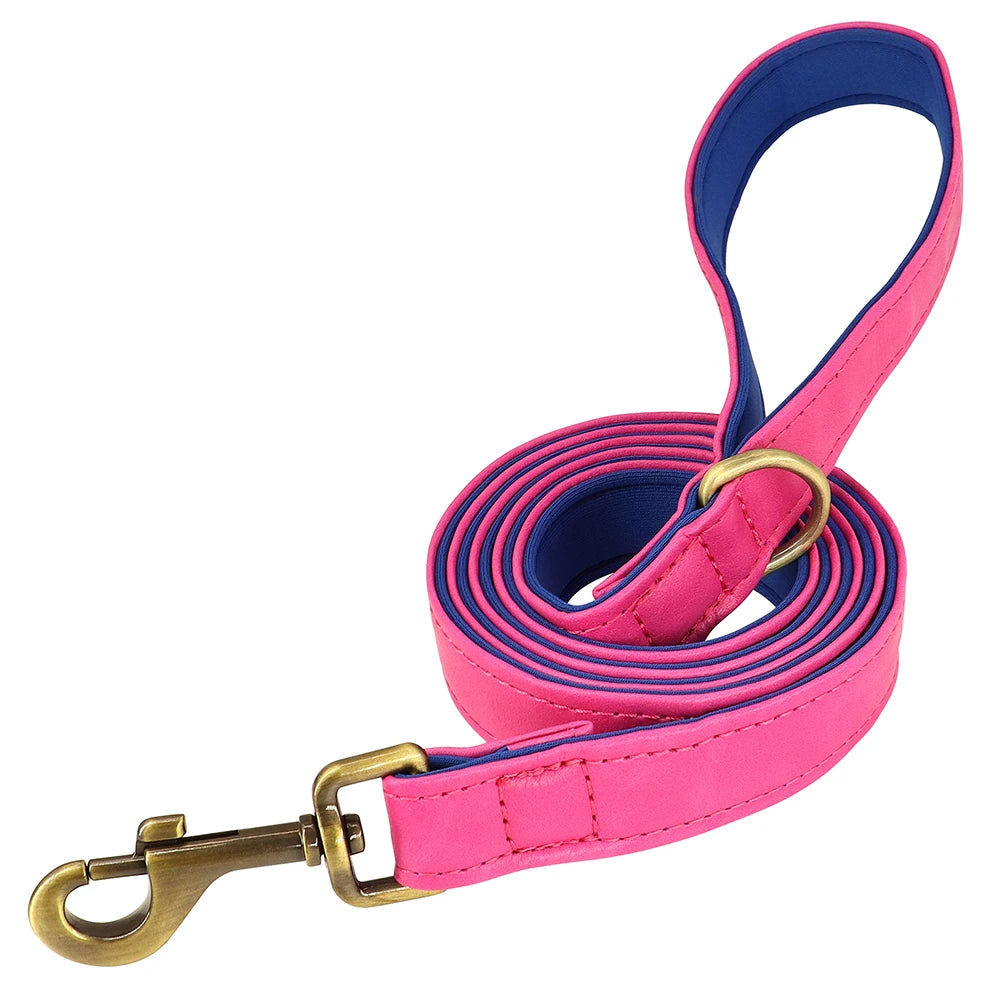 Personalized Dog Collar