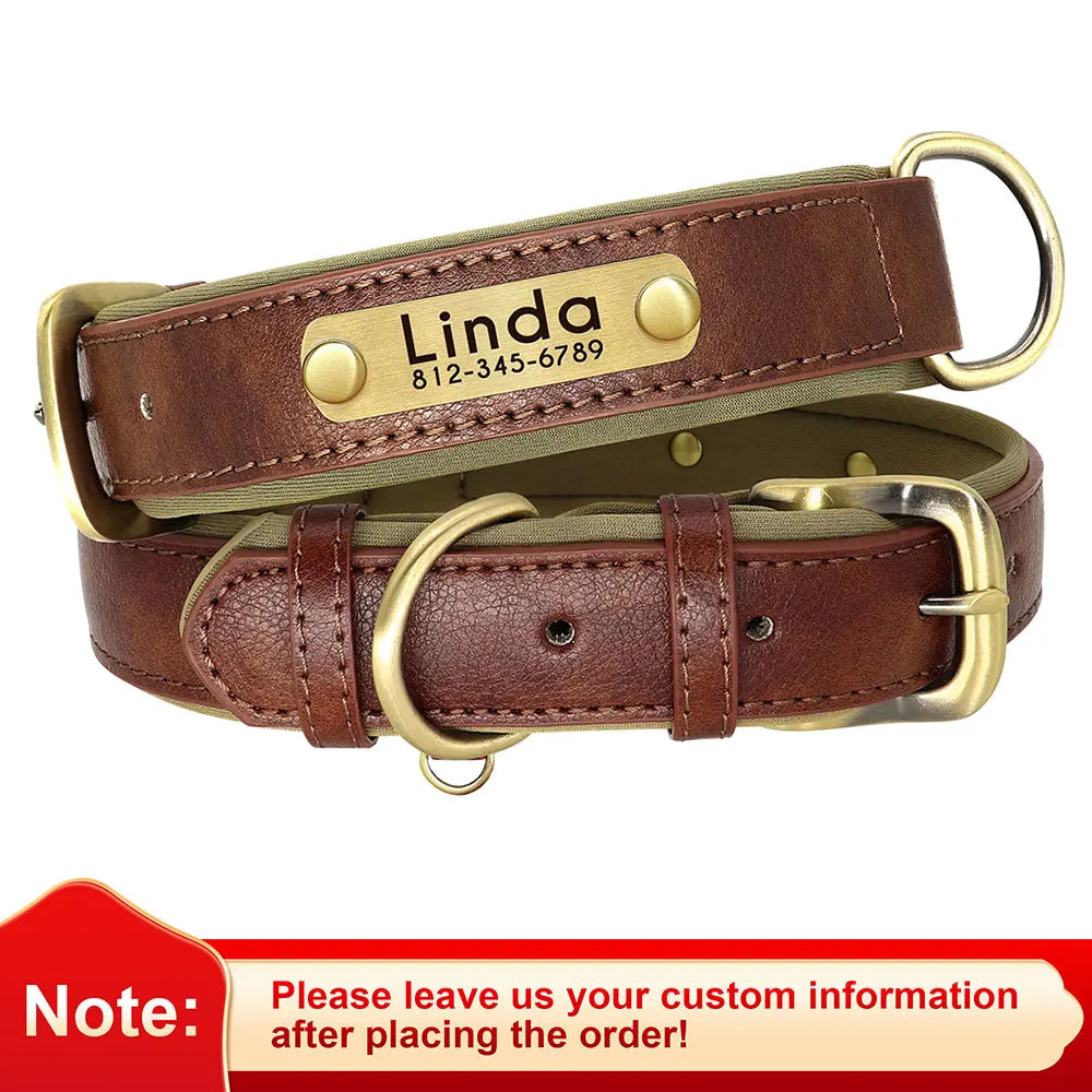 Personalized Dog Collar