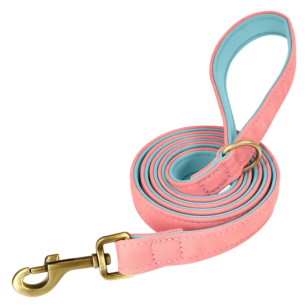 Personalized Dog Collar