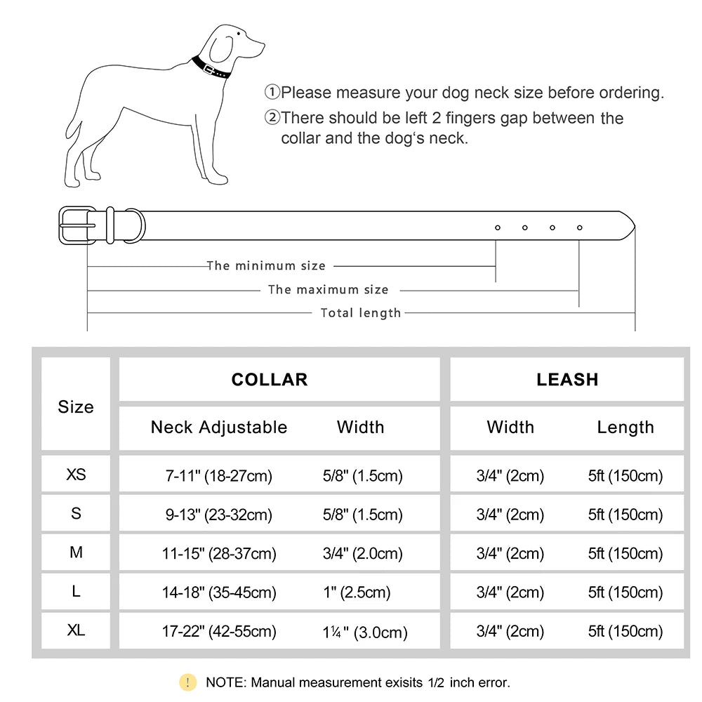 Personalized Dog Collar