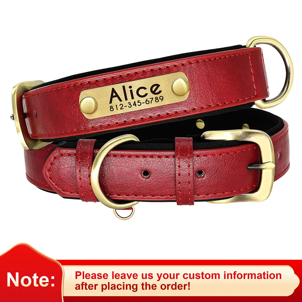 Personalized Dog Collar