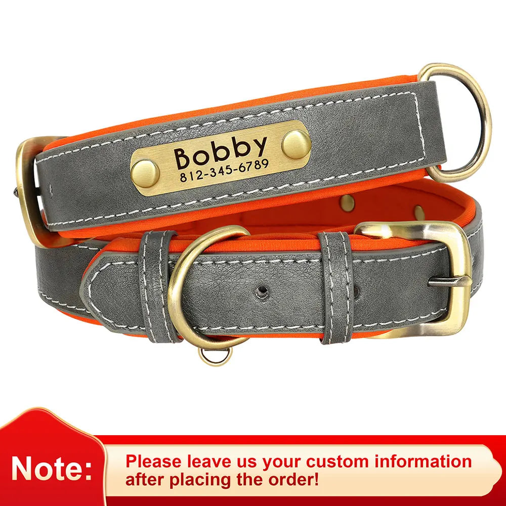Personalized Dog Collar