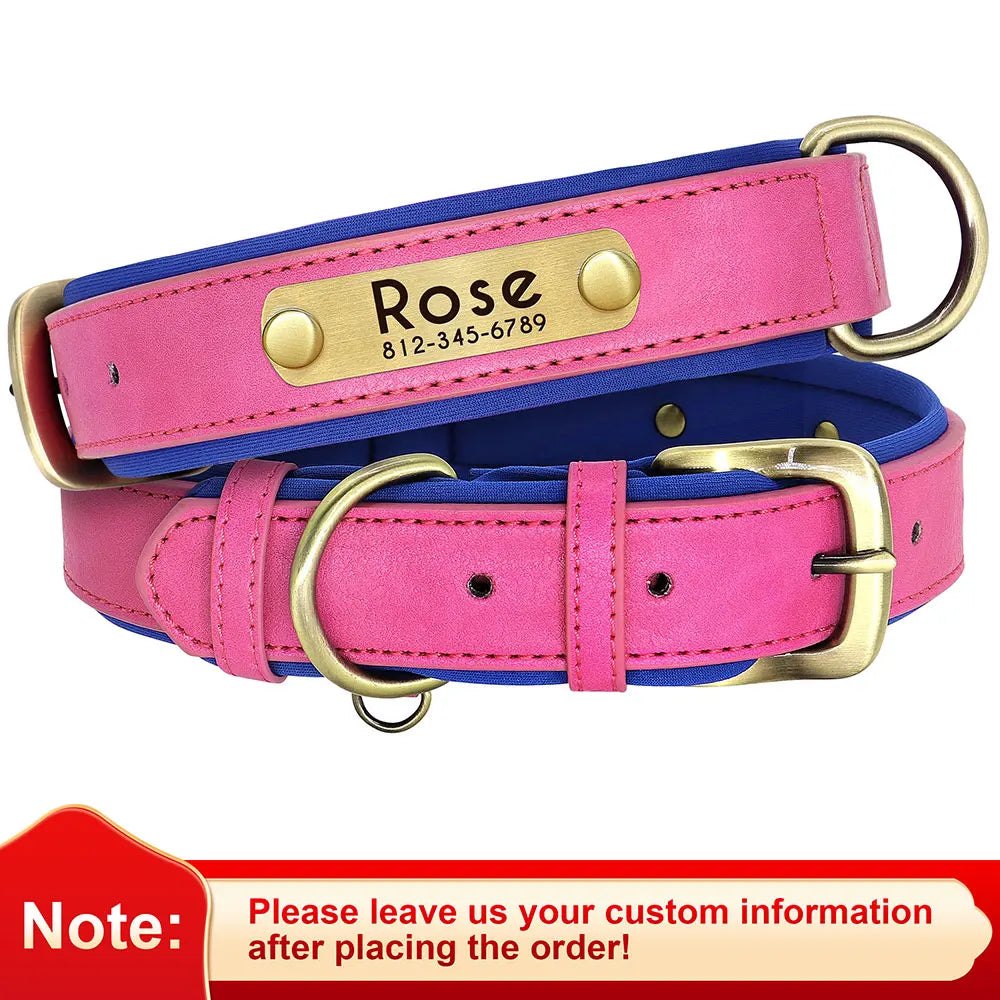 Personalized Dog Collar